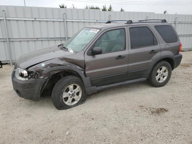 2006 FORD ESCAPE