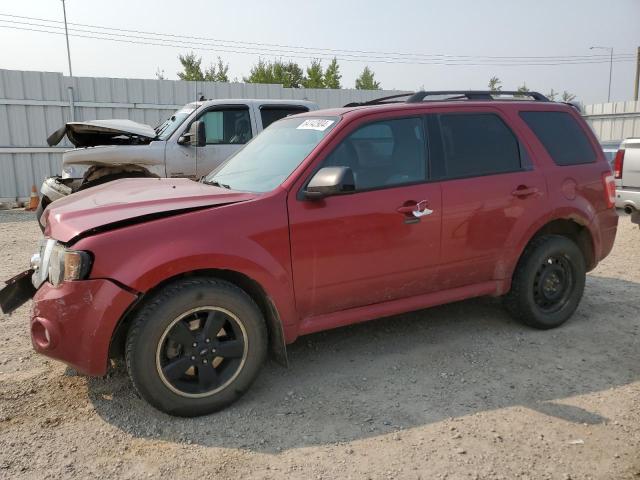 2012 FORD ESCAPE