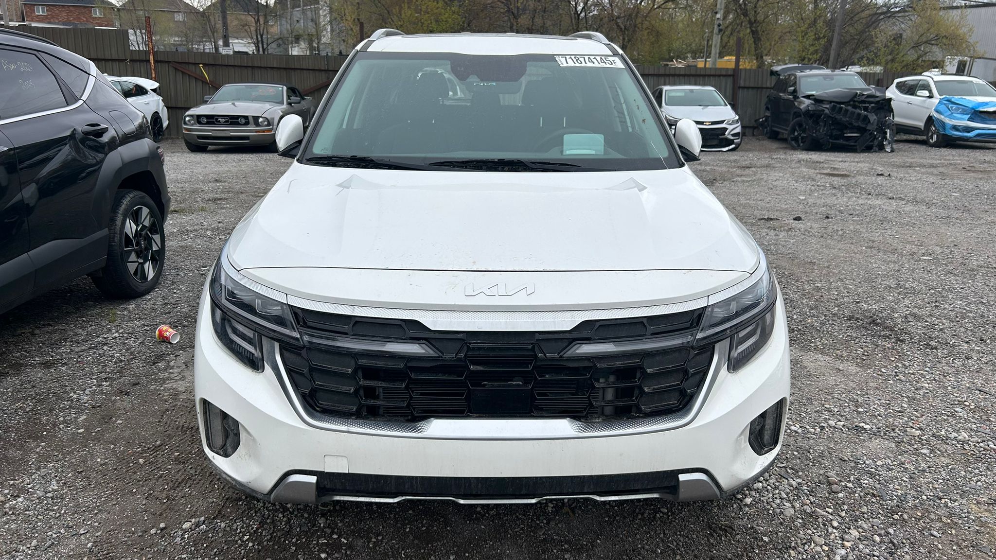 2024 Kia Seltos