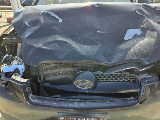2008 Hyundai ACCEN